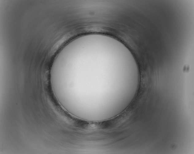 X0000112750111200909101549