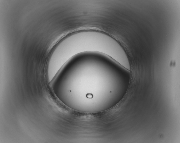 X0000112750112200909101549