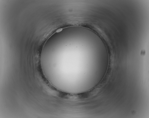 X0000112750113200909101549