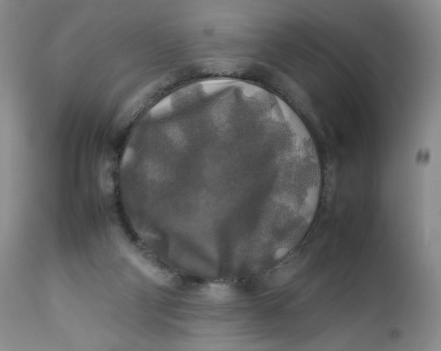 X0000112750114200909101549