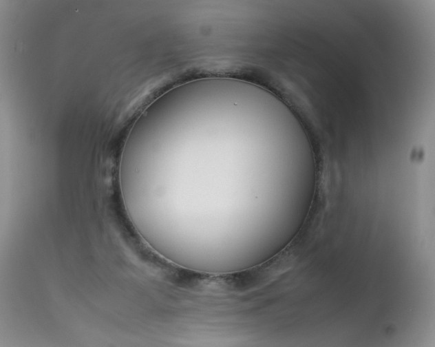 X0000112750115200909101549