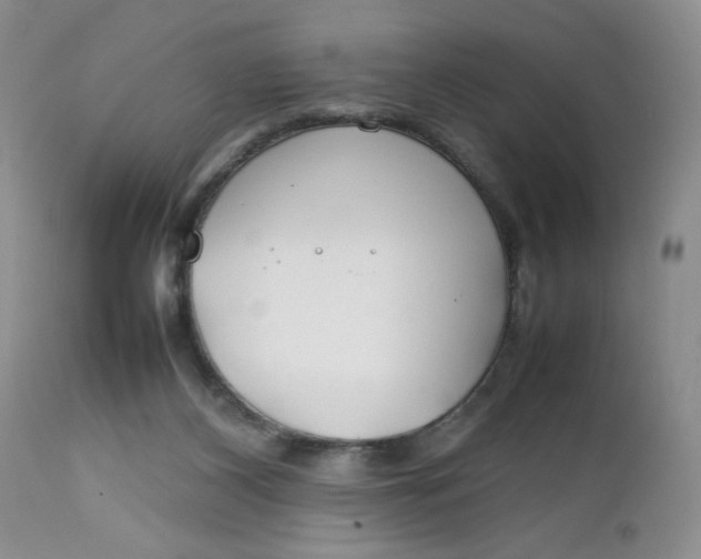 X0000112750116200909101549