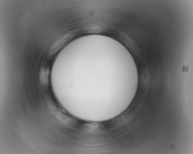 X0000112750118200909101549