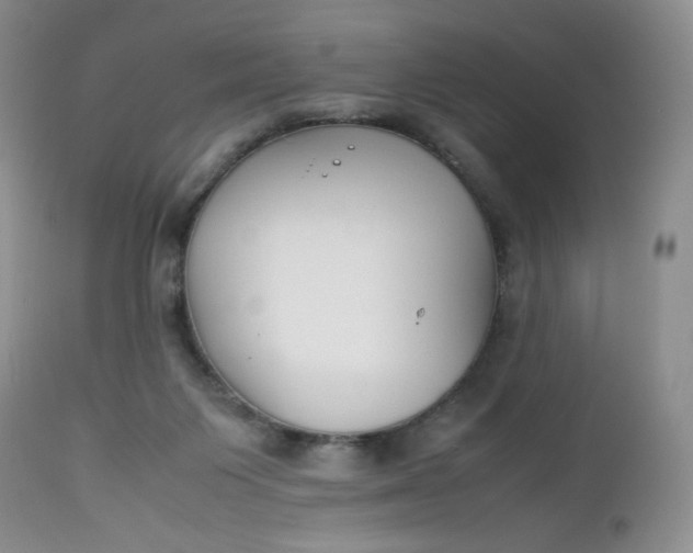 X0000112750119200909101549