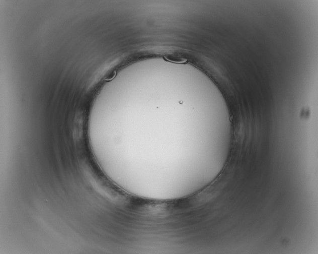 X0000112750120200909101549