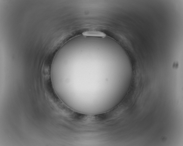 X0000112750123200909101549