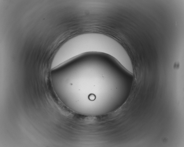 X0000112750124200909101549