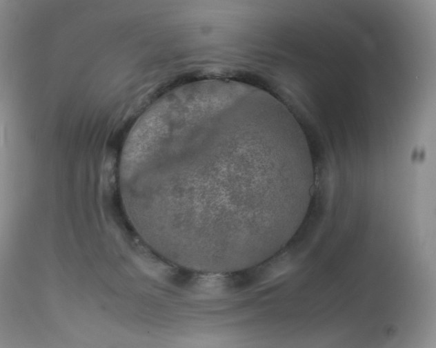 X0000112750127200909101549