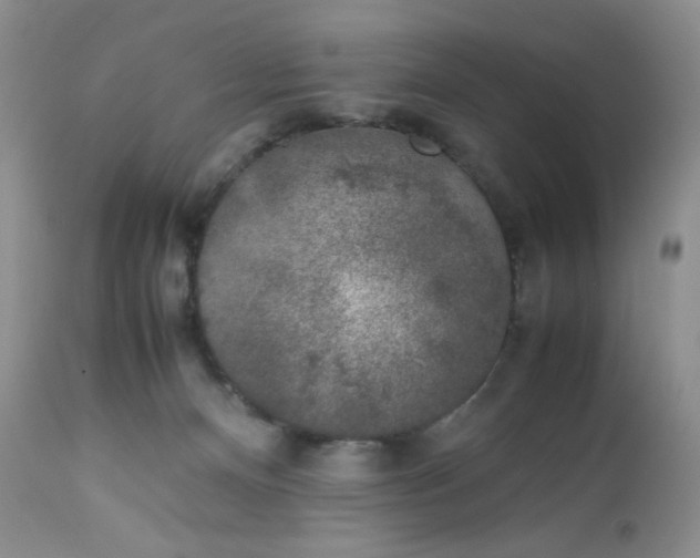 X0000112750128200909101549