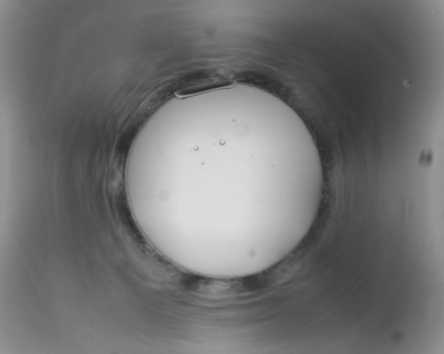 X0000112750129200909101549