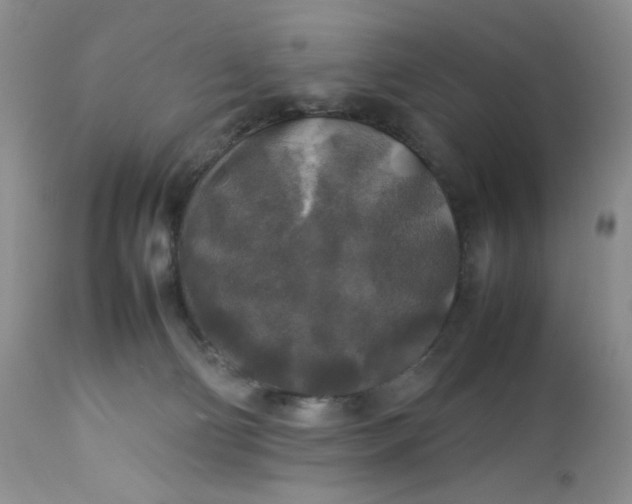 X0000112750130200909101549