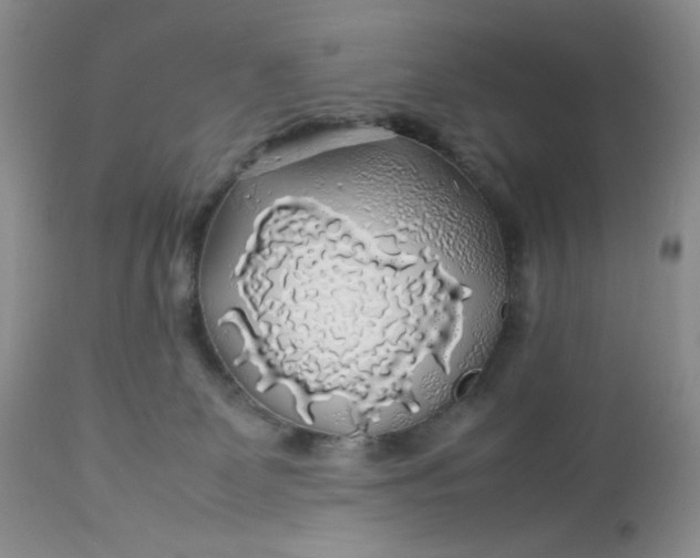 X0000112750131200909101549