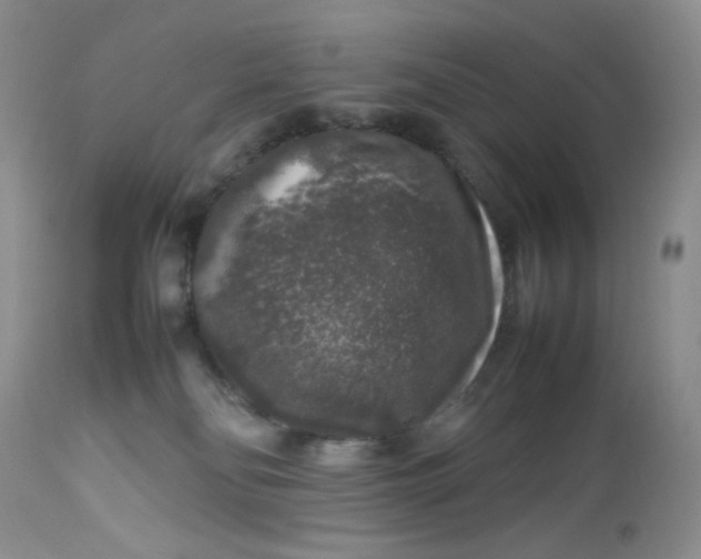 X0000112750134200909101549