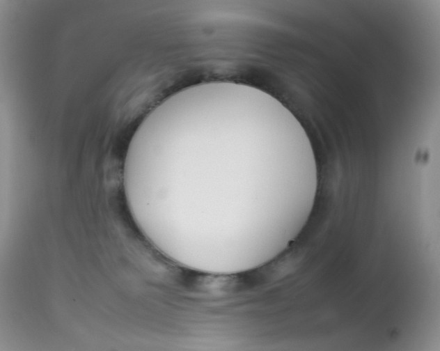 X0000112750135200909101549