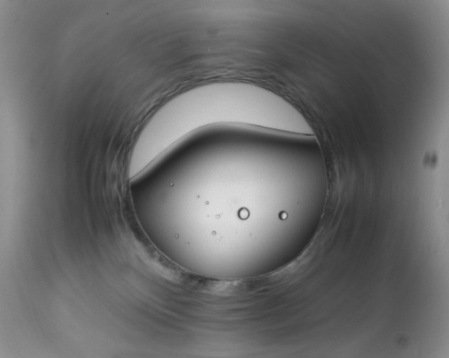 X0000112750136200909101549