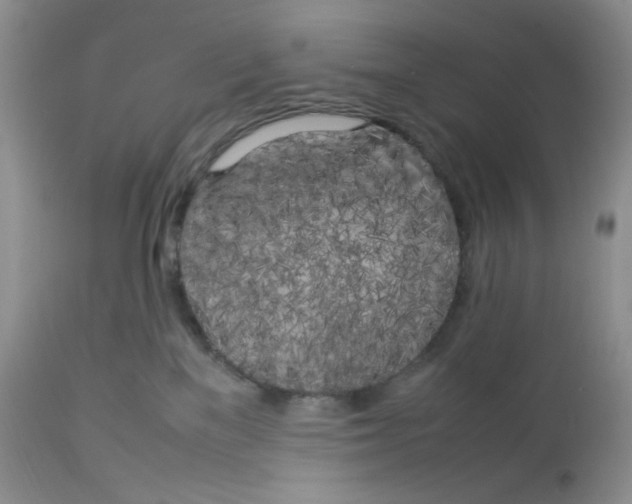 X0000112750137200909101549