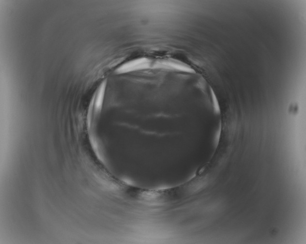 X0000112750139200909101549