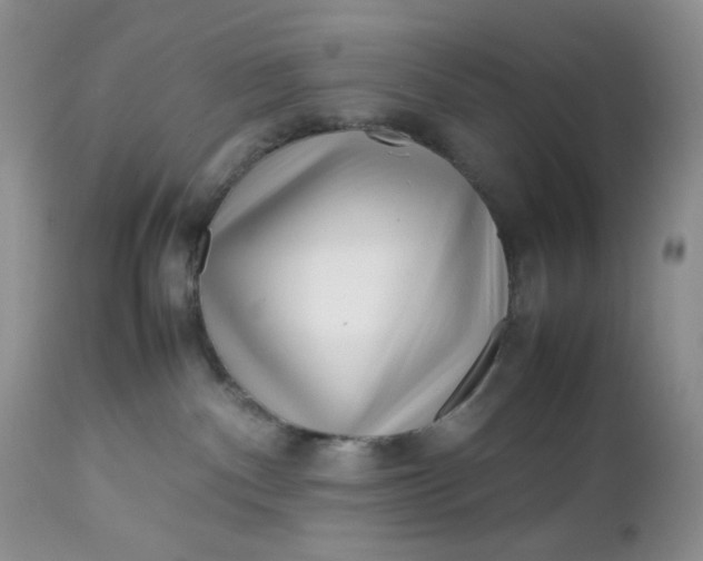 X0000112750140200909101549