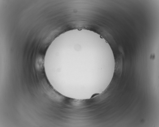 X0000112750142200909101549