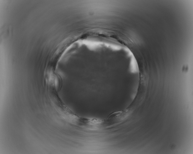 X0000112750143200909101549