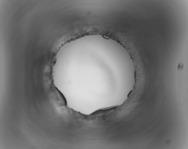 X0000112750144200909101549