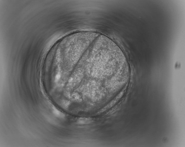 X0000112750145200909101548