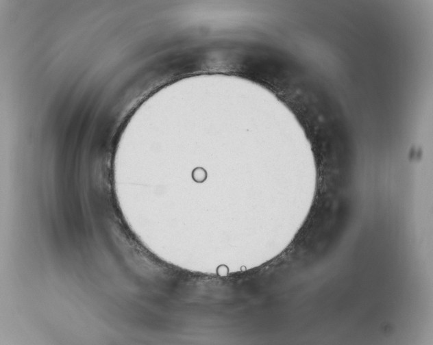 X0000112750146200909101548