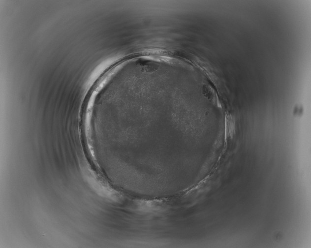 X0000112750147200909101548