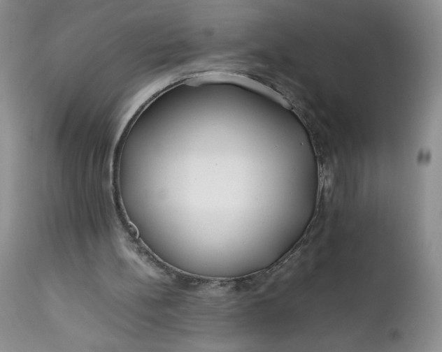 X0000112750148200909101548