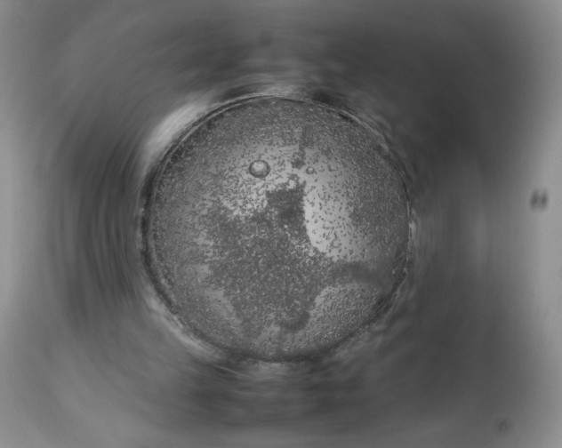 X0000112750149200909101548