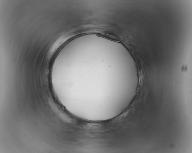 X0000112750150200909101548