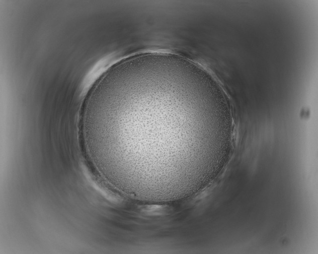 X0000112750151200909101548