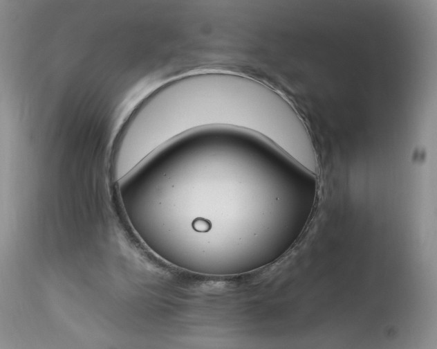 X0000112750152200909101548