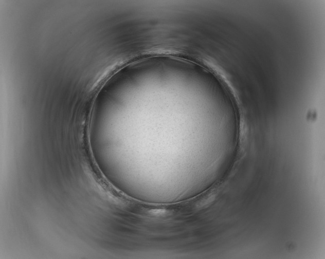 X0000112750153200909101548