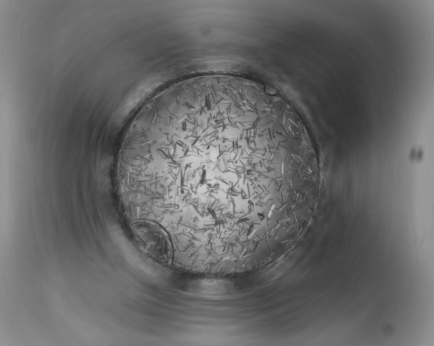 X0000112750154200909101548