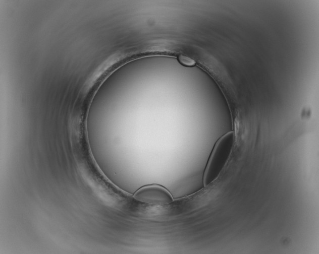 X0000112750156200909101548