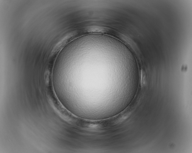 X0000112750157200909101548