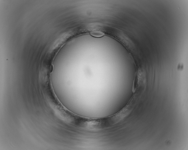 X0000112750158200909101548