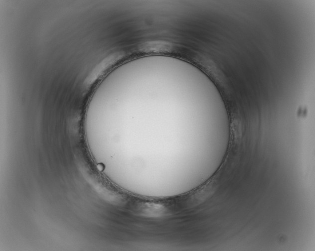 X0000112750159200909101548