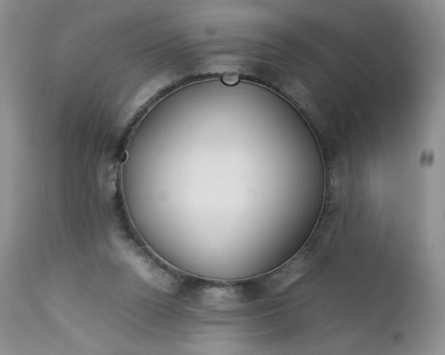 X0000112750160200909101548