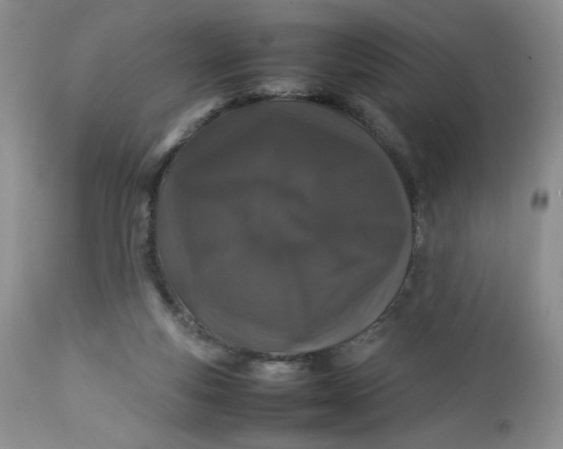 X0000112750163200909101548