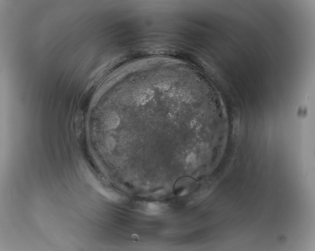 X0000112750165200909101548