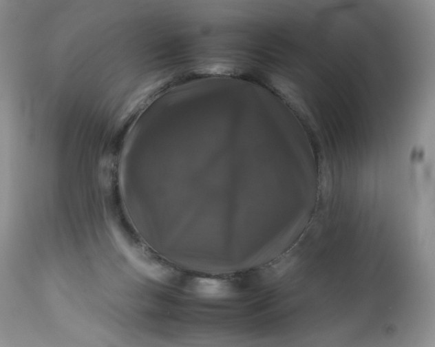 X0000112750167200909101548