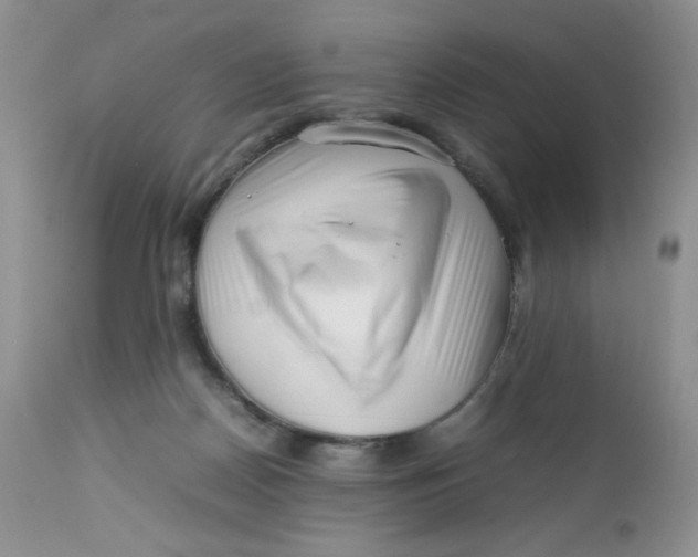 X0000112750170200909101548