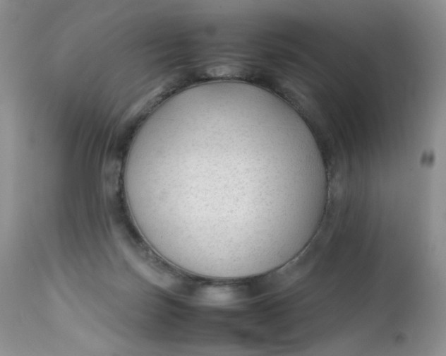 X0000112750171200909101548