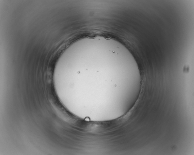 X0000112750174200909101548