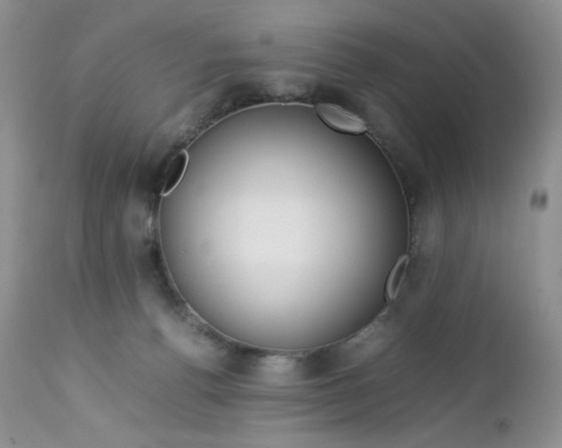 X0000112750176200909101548