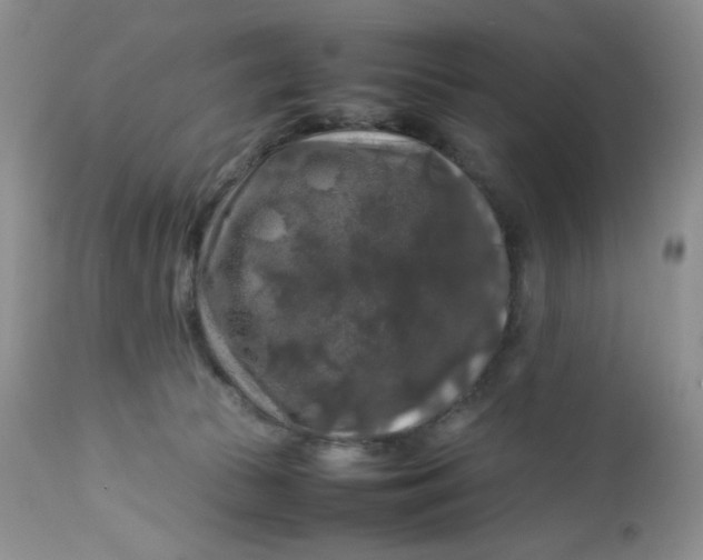 X0000112750177200909101549