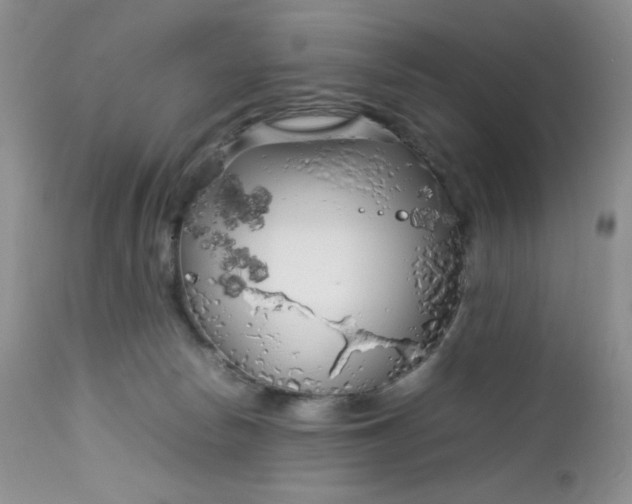 X0000112750178200909101549