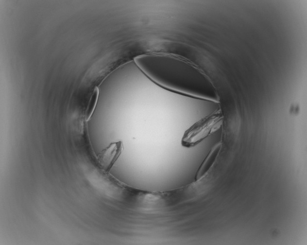 X0000112750180200909101549